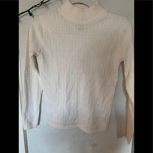 Karen Scott turtle neck